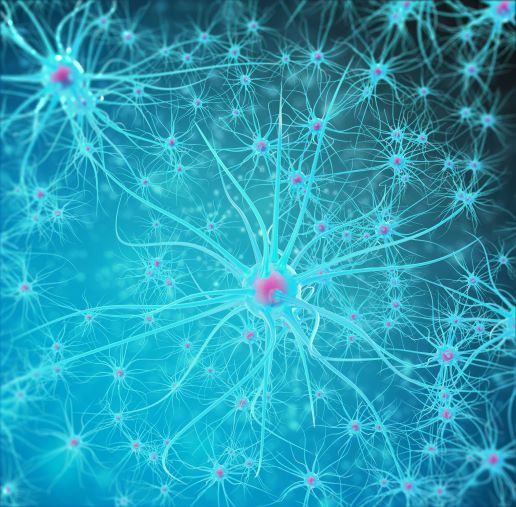 3 découvertes en Neurosciences à appliquer au quotidien avec les enfants